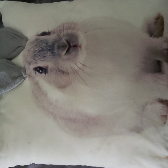 Pillow
